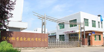 发展历程