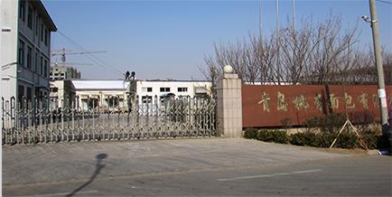 发展历程